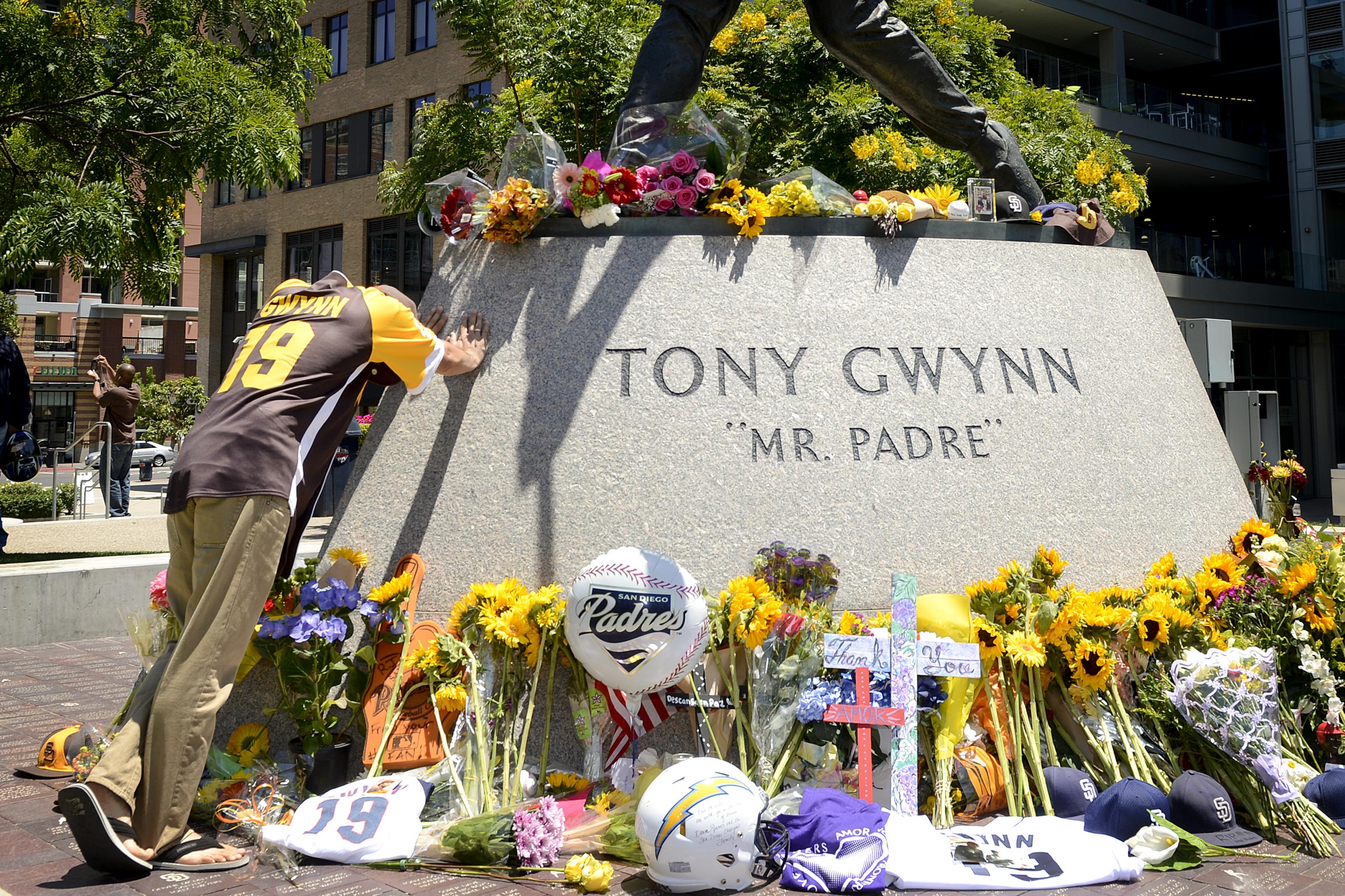 Tony Gwynn's family files wrongful death suit against tobacco industry -  ESPN