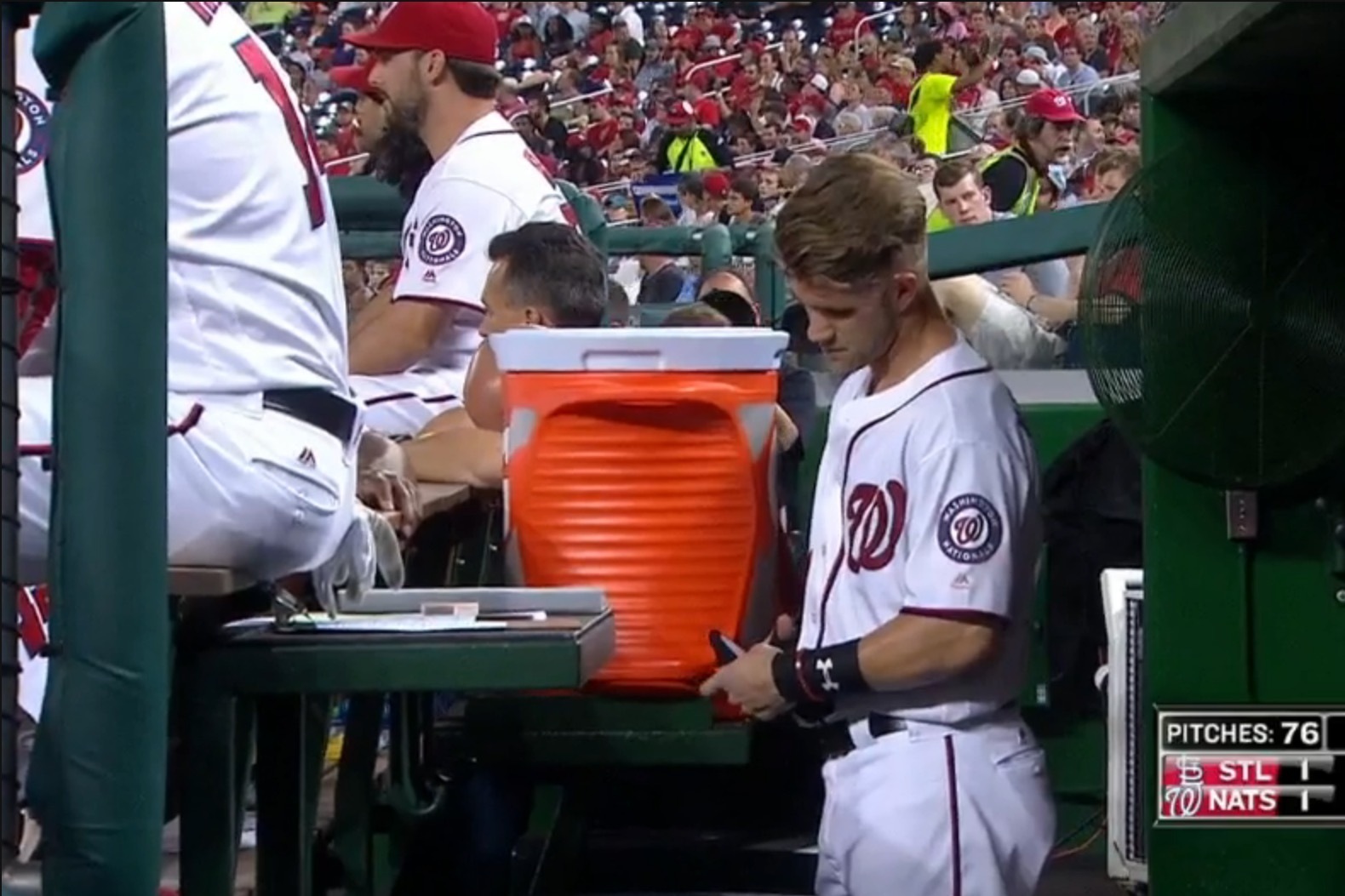 Bryce Harper Cuts Up Batting Gloves in Dugout so Nobody Can Sell Them on  , News, Scores, Highlights, Stats, and Rumors