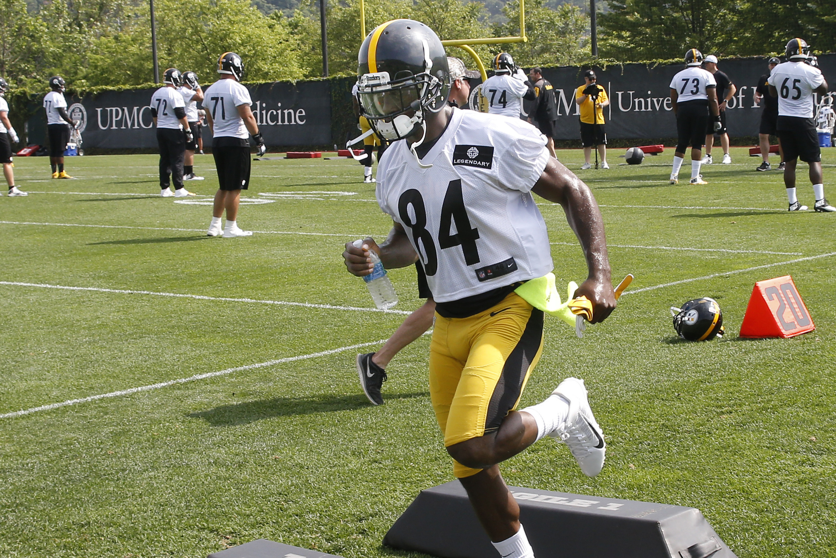 Mike Vick hits Darrius Heyward-Bey for first TD pass as Steeler