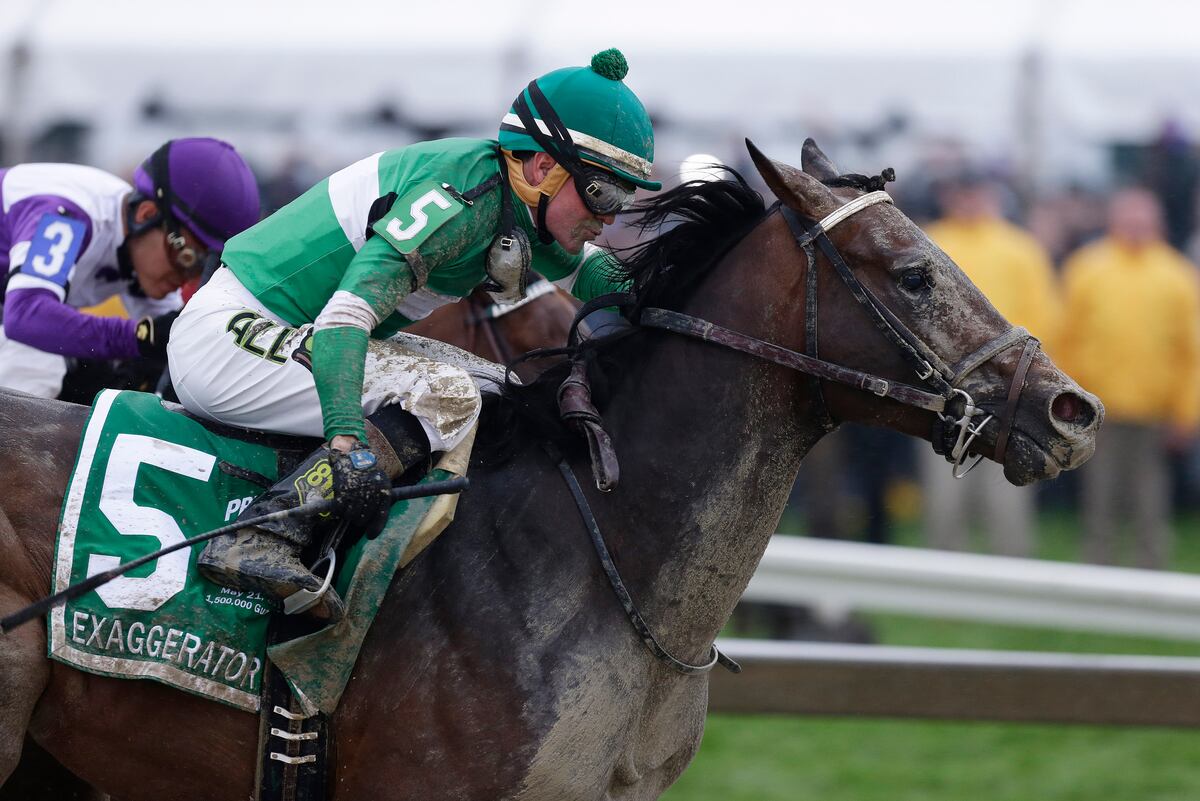 Belmont Stakes 2016 Post Time TV Schedule Post Positions Info News Belmont stakes 2016 post time tv schedule post positions info news