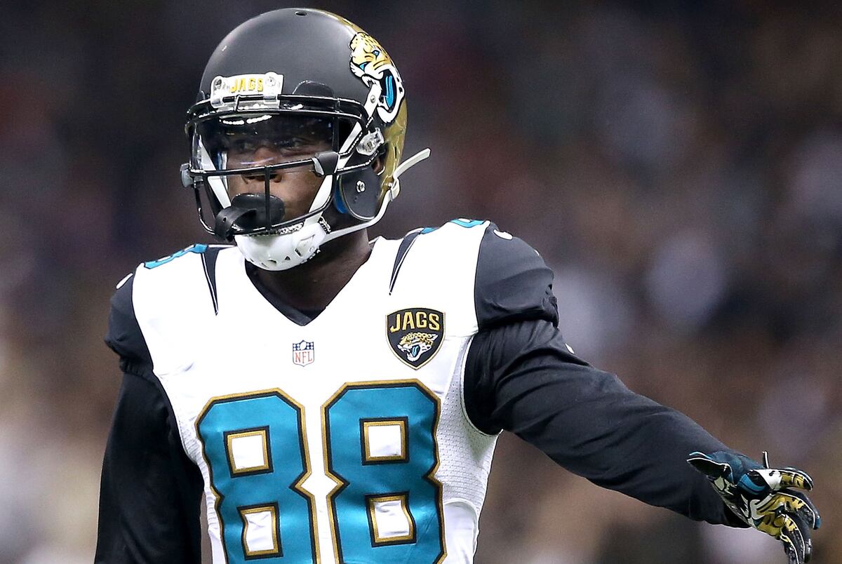 Allen Hurns Injury Updates on Jaguars WR's Concussion and Return