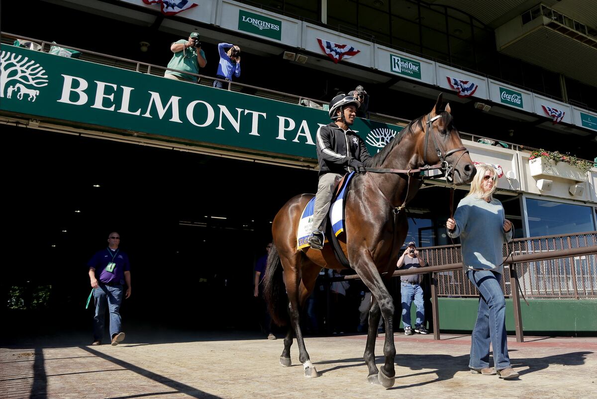 Belmont Stakes 2016 Horses and Jockeys with Best Chance at Belmont