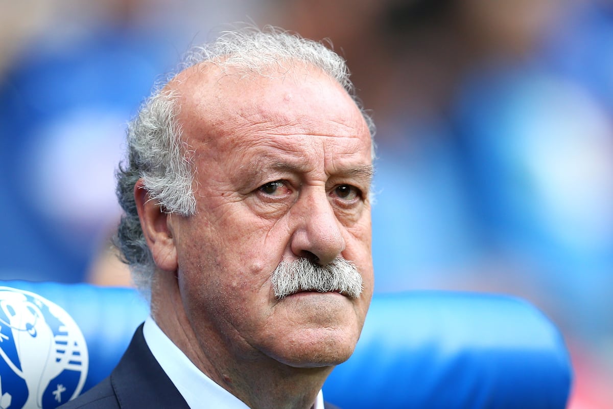 Vicente del Bosque, Spain Part Ways: Latest Details, Comments and