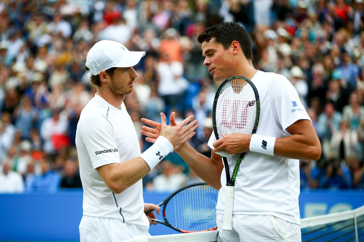 Wimbledon 2016 Men's Final Milos Raonic vs. Andy Murray Preview