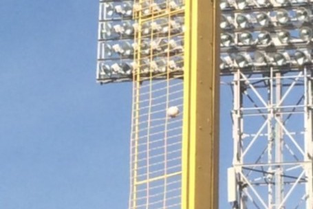 David Ortiz Gets Batting Practice Home Run Ball Stuck In Pesky Pole