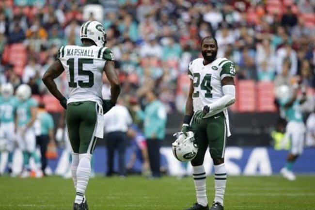 Chicago Bears wide receiver Brandon Marshall (15) tries to leap over New  England Patriots cornerback Darrell Revis (24)