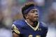 INDIANAPOLIS, IN - SEPTEMBER 13: Devin Butler #12 of the Notre Dame Fighting Irish is seen on the sidelines during the game against the Purdue Boilermakers at Lucas Oil Stadium on September 13, 2014 in Indianapolis, Indiana. (Photo by Michael Hickey/Getty Images)
