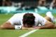 Roger Federer falls flat during his final match at Wimbledon 2016.