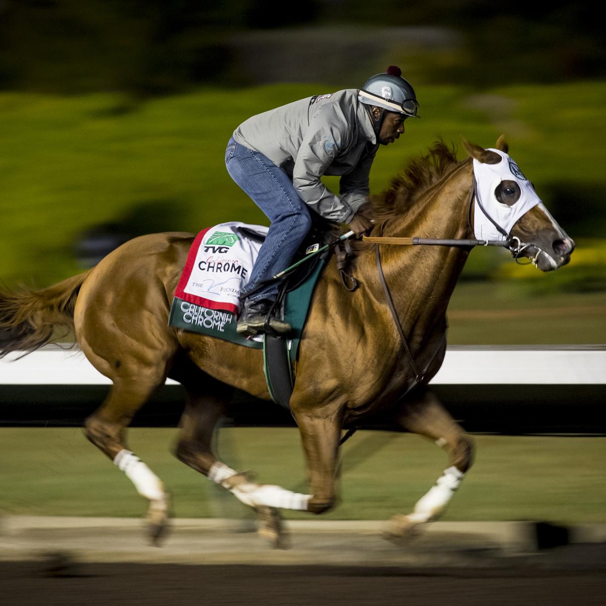 Breeders' Cup Draw 2016 Post Positions Draw Start Time and Lineup Info