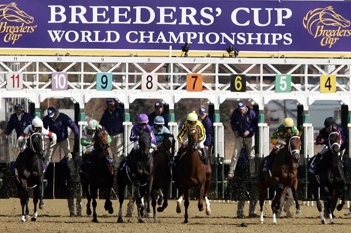 Breeders' Cup 2016 Results Tracking Winners, Prize Money Payouts on