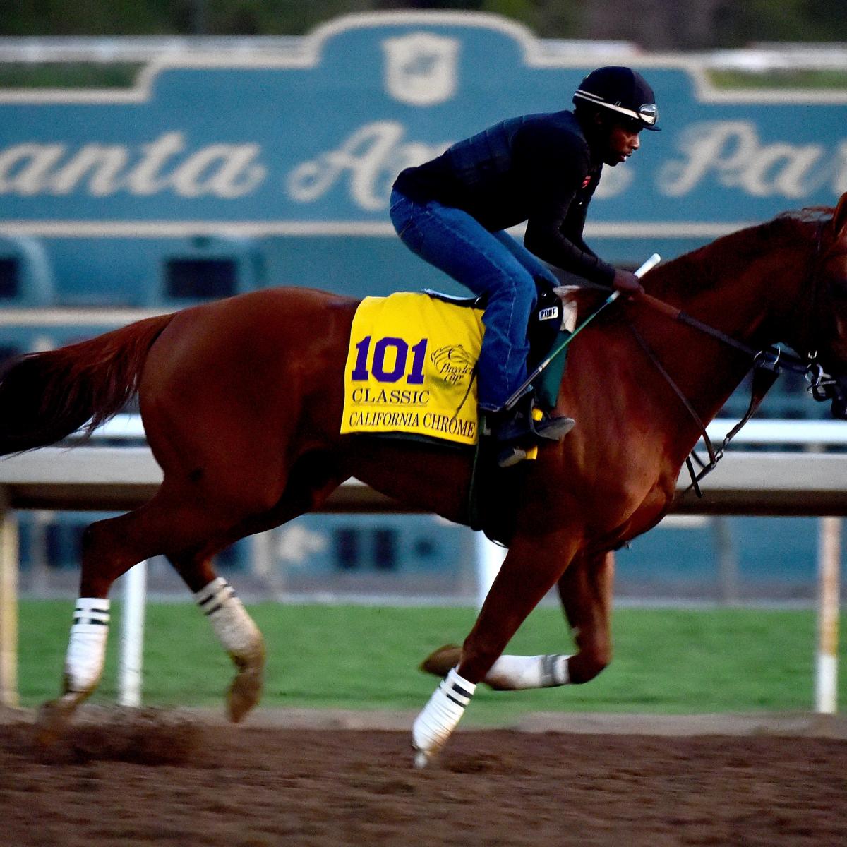 Breeders' Cup Classic 2016: Projected Prize Money, Order ... - 1200 x 1200 jpeg 174kB