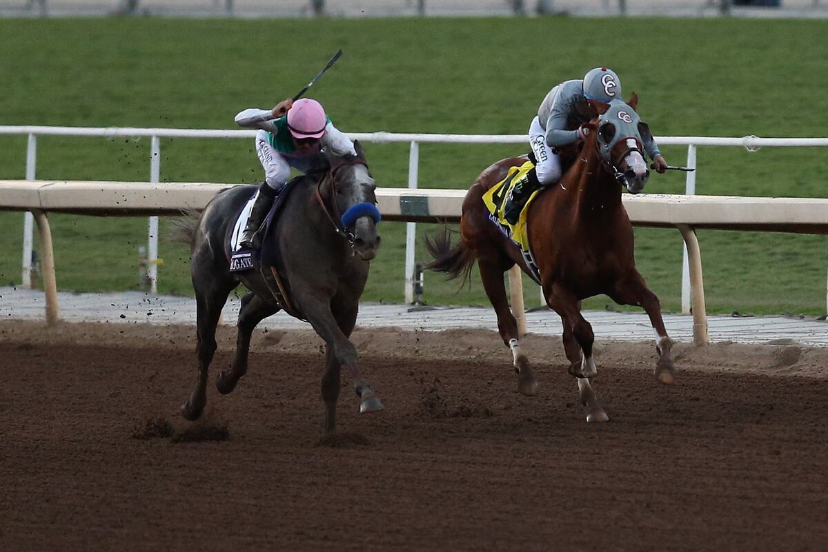 Breeders' Cup 2016 Results Winner, Payouts and Order of Finish for