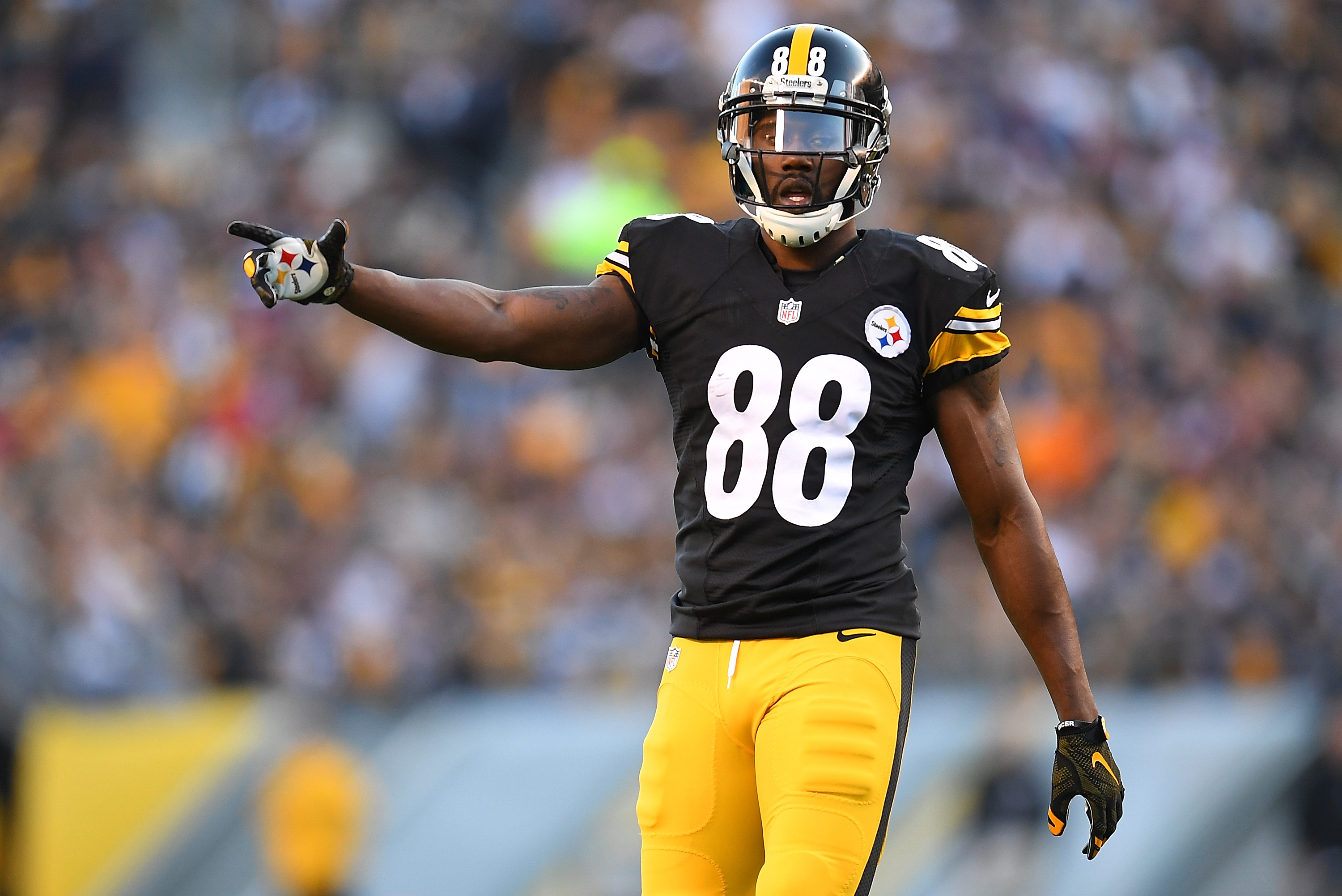 Darrius Heyward-Bey Injury: Updates on Steelers WR's Foot, Ankle and Return, News, Scores, Highlights, Stats, and Rumors