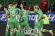 Ireland's players celebrate after scoring during their World Cup Group D qualifying soccer match against Austria at the Ernst Happel Stadium in Vienna, Austria, Saturday, Nov. 12, 2016. (AP Photo/Ronald Zak)