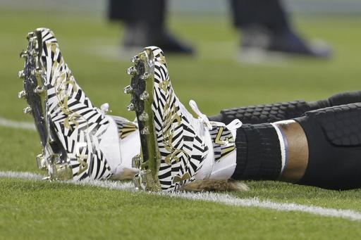 Cam Newton Wears Fox-Tail Cleats During Pregame Warm-Ups | News, Scores,  Highlights, Stats, and Rumors | Bleacher Report