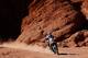 SAN RAFAEL, ARGENTINA - JANUARY 11: Toby Price of Australia riding on and for KTM 450 RED BULL KTM FACTORY TEAM competes on day 9 stage eight from Salta to Bellen during the 2016 Dakar Rally on January 11, 2016 in near San Rafae Salta, Argentina. (Photo by Dean Mouhtaropoulos/Getty Images)
