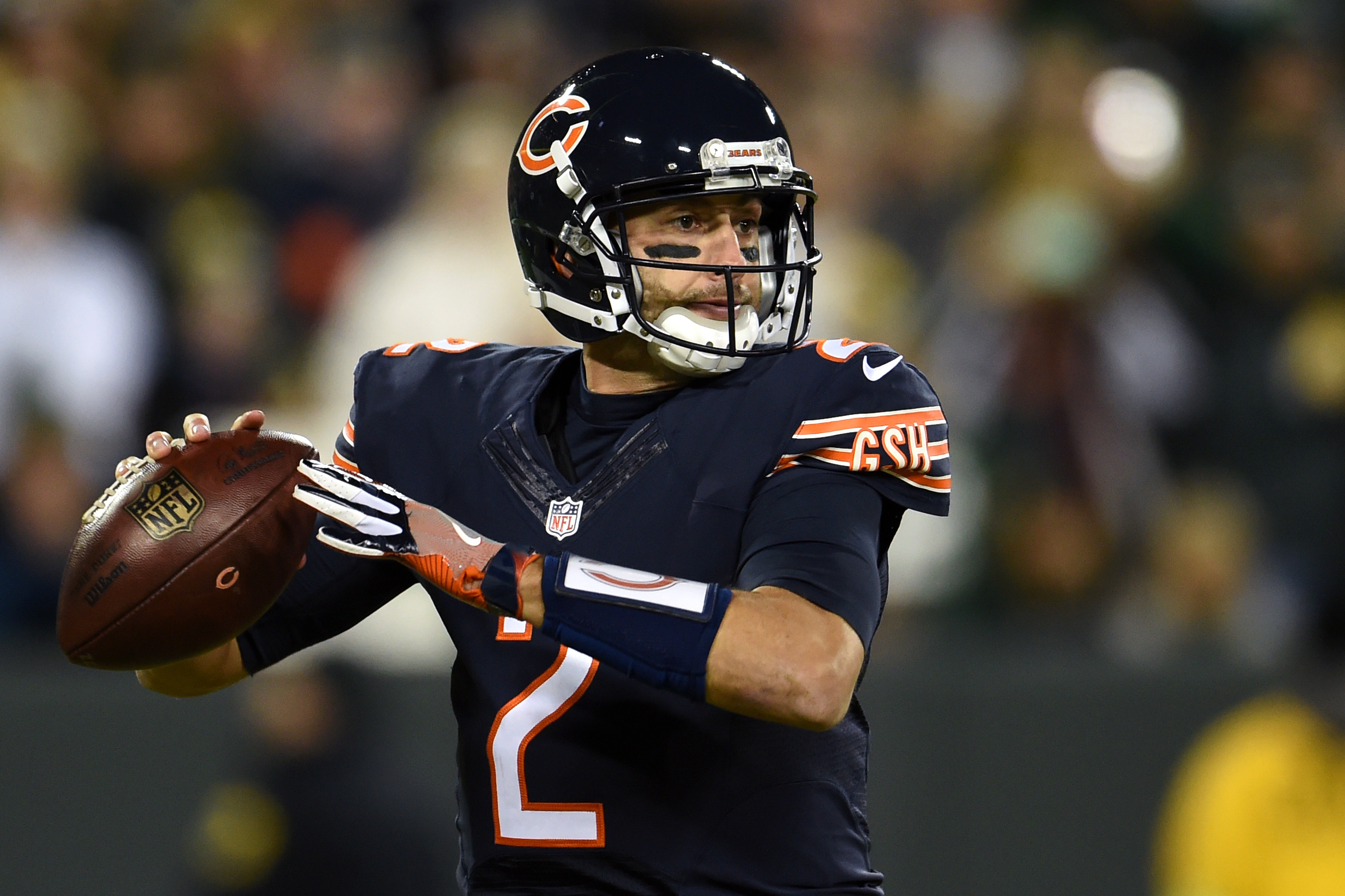 Bears sign veteran quarterback Brian Hoyer - NBC Sports