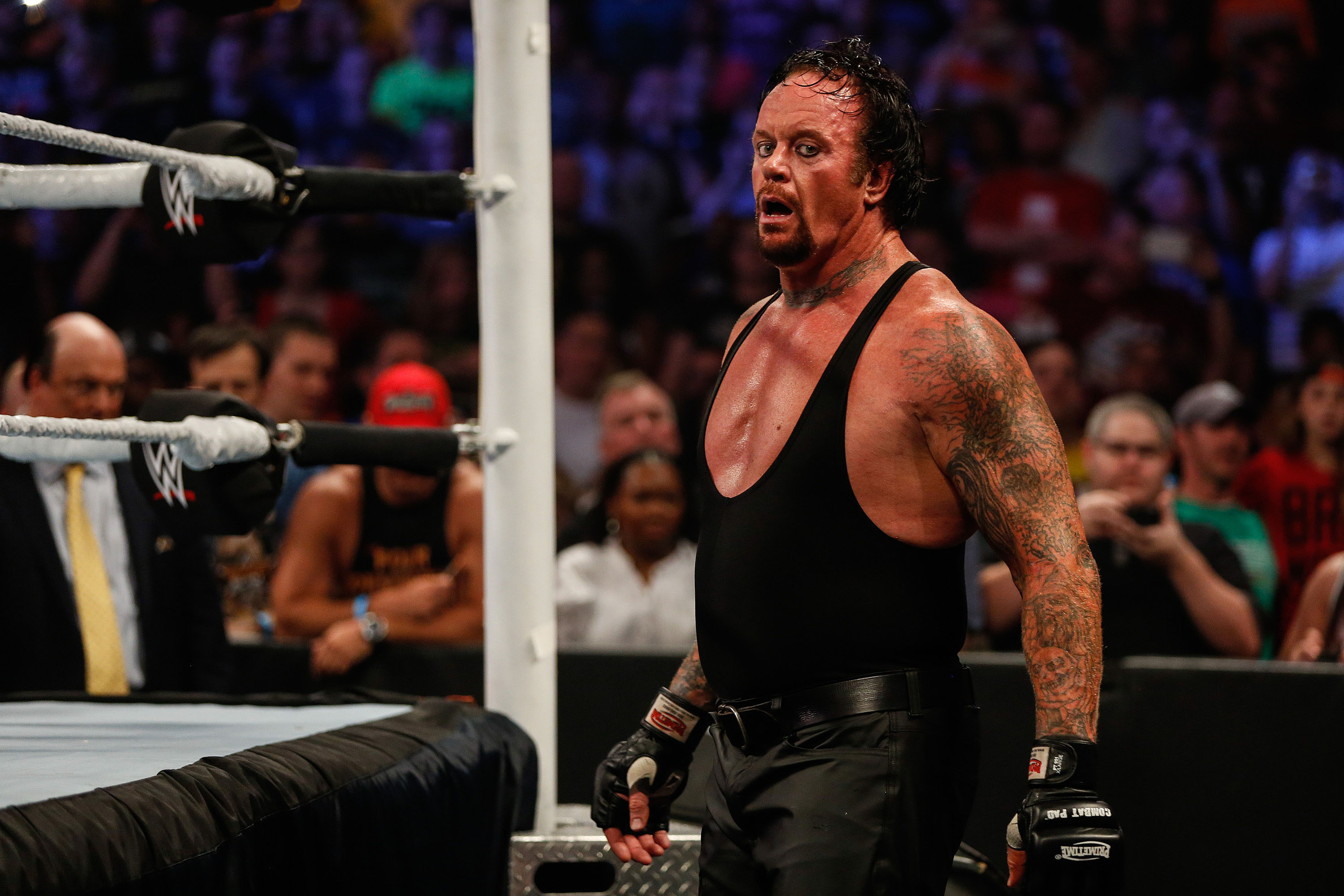 Roman Reigns Xxx Video - Undertaker vs. Roman Reigns Announced for WWE WrestleMania 33 ...
