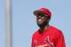 JUPITER, FL - MARCH 11: Dexter Fowler #25 of the St. Louis Cardinals in action against the Atalanta Braves during a spring training baseball game at Roger Dean Stadium on March 11, 2017 in Jupiter, Florida. (Photo by Rich Schultz/Getty Images)