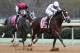 HOT SPRINGS, AR - FEBRUARY 20: One Liner #11, ridden by John Velazquez, outruns Petrov #8 to win the Southwest Stakes at Oaklawn Park on February 20, 2017 in Hot Springs, Arkansas. (Photo by Ciara Bowen/Eclipse Sportswire/Getty Images)
