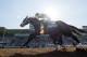 ARCADIA, CA - NOVEMBER 05: Classic Empire #5, ridden by Julien Leparoux, wins the Sentient Jet Breeders' Cup Juvenile during day two of the 2016 Breeders' Cup World Championships at Santa Anita Park on November 5, 2016 in Arcadia, California. (Photo by Alex Evers/Eclipse Sportswire/Breeders Cup)