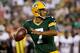 GREEN BAY, WI - AUGUST 18: Brett Hundley #7 of the Green Bay Packers drops back to pass in the second quarter of a preseason game against the Oakland Raiders at Lambeau Field on August 18, 2016 in Green Bay, Wisconsin. (Photo by Dylan Buell/Getty Images)