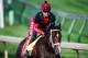 LOUISVILLE, KENTUCKY - MAY 01: Classic Empire, owned by John Oxley and trained by Mark E. Casse, exercises in preparation for the Kentucky Derby at Churchill Downs on May 1, 2017 in Louisville, Kentucky. (Photo by Douglas DeFelice/Eclipse Sportswire/Getty Images)