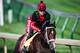 LOUISVILLE, KENTUCKY - MAY 01: Classic Empire, owned by John Oxley and trained by Mark E. Casse, exercises in preparation for the Kentucky Derby at Churchill Downs on May 1, 2017 in Louisville, Kentucky. (Photo by Douglas DeFelice/Eclipse Sportswire/Getty Images)