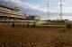 LOUISVILLE, KENTUCKY - MAY 03: Horses exercise in the morning at Churchill Downs on May 3, 2017 in Louisville, Kentucky. (Photo by Jon Durr/Eclipse Sportswire/Getty Images)