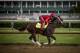 LOUISVILLE, KY - MAY 03: Classic Empire, owned by John Oxley and trained by Mark E. Casse, with Martin Rivers aboard exercises in preparation for the Kentucky Derby at Churchill Downs on May 03, 2017 in Louisville, Kentucky. (Photo by Alex Evers/Eclipse Sportswire/Getty Images)