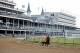 LOUISVILLE, KENTUCKY - MAY 03: Classic Empire, owned by John Oxley and trained by Mark E. Casse, exercises in preparation for the Kentucky Derby at Churchill Downs on May 3, 2017 in Louisville, Kentucky. (Photo by Jon Durr/Eclipse Sportswire/Getty Images)