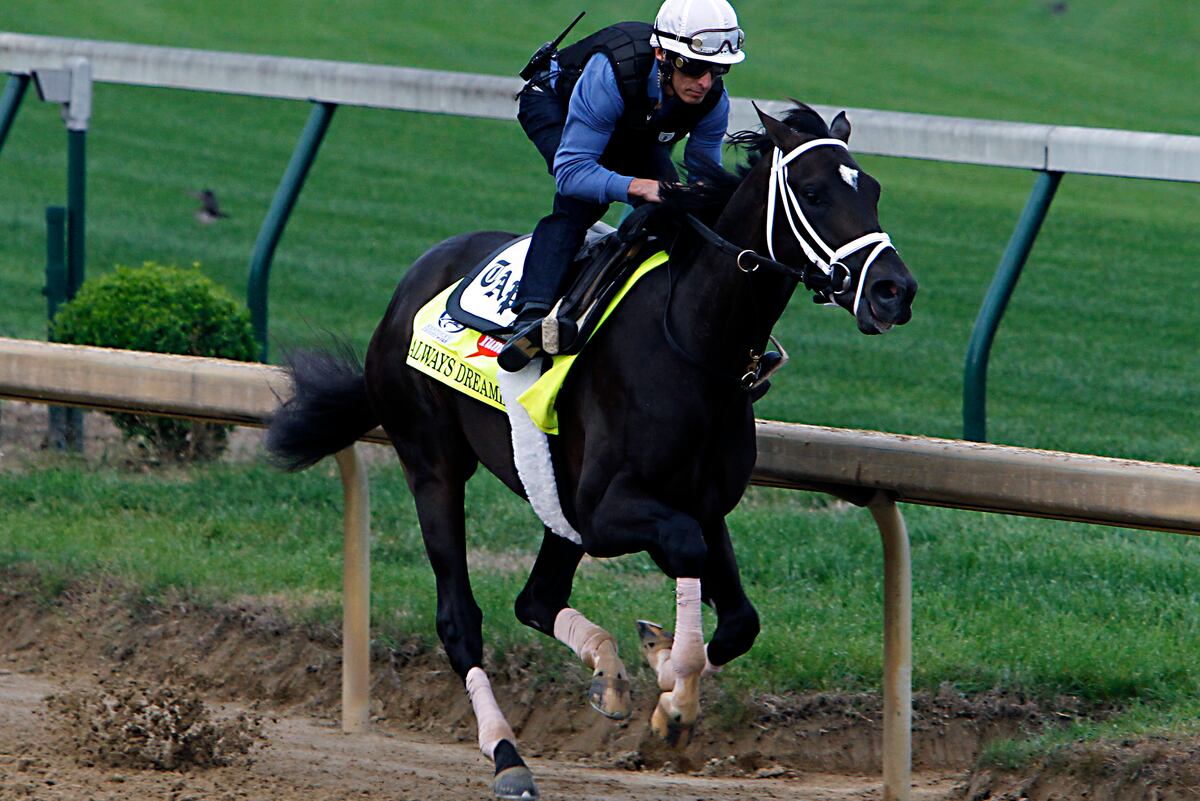 Kentucky Derby 2017 Horses Contenders and RaceDay Overview for Entire