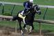 Kentucky Derby hopeful Always Dreaming works out under jockey John Velazquez at Churchill Downs in Louisville, Ky., Friday, April 28, 2017. Always Dreaming is one of five colts eyeing the May 6th horse race from the barn of trainer Todd Pletcher. (AP Photo/Garry Jones)