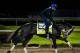 LOUISVILLE, KY - MAY 02: Always Dreaming, owned by Brooklyn Boyz Stables and trained by Todd Pletcher, exercises in preparation for the Kentucky Derby at Churchill Downs on May 02, 2017 in Louisville, Kentucky. (Photo by Alex Evers/Eclipse Sportswire/Getty Images)