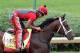 LOUISVILLE, KY - MAY 04: Classic Empire trains on the track for the Kentucky Derby at Churchill Downs on May 4, 2017 in Louisville, Kentucky. (Photo by Rob Carr/Getty Images)