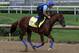 Kentucky Derby 143 hopeful Gunnevera, ridden by exercise rider Victor O'Farrel, gallops at Churchill Downs in Louisville, Ky., Sunday, Apr. 30, 2017. (AP Photo/Garry Jones)