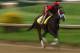 LOUISVILLE, KY - MAY 04: Classic Empire trains on track before the143rd Kentucky Derby at Churchill Downs on May 4, 2017 in Louisville, Kentucky. (Photo by Patrick Smith/Getty Images)