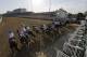 Horses leave the starting gate for the 142nd running of the Kentucky Derby horse race at Churchill Downs Saturday, May 7, 2016, in Louisville, Ky. (AP Photo/Julio Cortez)