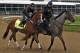 Trainer Steve Asmussen, right, leads Kentucky Derby entrant Hence, a rider Angel Garcia out onto the track for a morning workout at Churchill Downs in Louisville, Ky., Thursday, May 4, 2017. The Kentucky Derby horse race is set for Saturday, May 6. (AP Photo/Garry Jones)