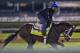 LOUISVILLE, KENTUCKY - MAY 03: Always Dreaming, owned by Brooklyn Boyz Stables and trained by Todd Pletcher, exercises in preparation for the Kentucky Derby at Churchill Downs on May 3, 2017 in Louisville, Kentucky. (Photo by Scott Serio/Eclipse Sportswire/Getty Images)
