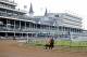 LOUISVILLE, KENTUCKY - MAY 03: Classic Empire, owned by John Oxley and trained by Mark E. Casse, exercises in preparation for the Kentucky Derby at Churchill Downs on May 3, 2017 in Louisville, Kentucky. (Photo by Jon Durr/Eclipse Sportswire/Getty Images)
