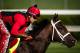 LOUISVILLE, KENTUCKY - MAY 02: Classic Empire, owned by John Oxley and trained by Mark E. Casse, exercises in preparation for the Kentucky Derby at Churchill Downs on May 2, 2017 in Louisville, Kentucky. (Photo by Douglas DeFelice/Eclipse Sportswire/Getty Images)