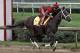 Exercise rider Martin Rivera gallops Kentucky Derby entrant Classic Empire at Churchill Downs in Louisville, Ky., Thursday, May 4, 2017. The Kentucky Derby horse race is set for Saturday, May 6. (AP Photo/Garry Jones)