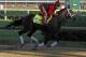Favored Classic Empire should have an excellent chance to win the Run for the Roses.