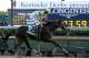 IMAGE DISTRIBUTED FOR LONGINES - Always Dreaming, ridden by John Velazquez, wins the 143rd running of the Kentucky Derby, Saturday, May 6, 2017, at Churchill Downs in Louisville, Ky. Longines, the Swiss watch manufacturer known for its luxury timepieces, is the Official Watch and Timekeeper of the 143rd annual Kentucky Derby. (Photo by Diane Bondareff /AP Images for Longines)