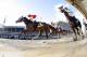 Always Dreaming hopes to find similar success in the Preakness as he did in the Kentucky Derby.