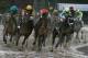 May 6, 2017; Louisville , KY, USA; John Velazquez aboard Always Dreaming (5) leads the field as they head into the final stretch during the 2017 Kentucky Derby at Churchill Downs. Mandatory Credit: Brian Spurlock-USA TODAY Sports
