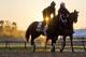 BALTIMORE, MD - MAY 14: Kentucky Derby winner Always Dreaming jogs with a lead pony on the track after exercising in preparation for the Preakness Stakes next week at Pimlico Race Course on May 14, 2017 in Baltimore, Maryland.(Photo by Scott Serio/Eclipse Sportswire/Getty Images)