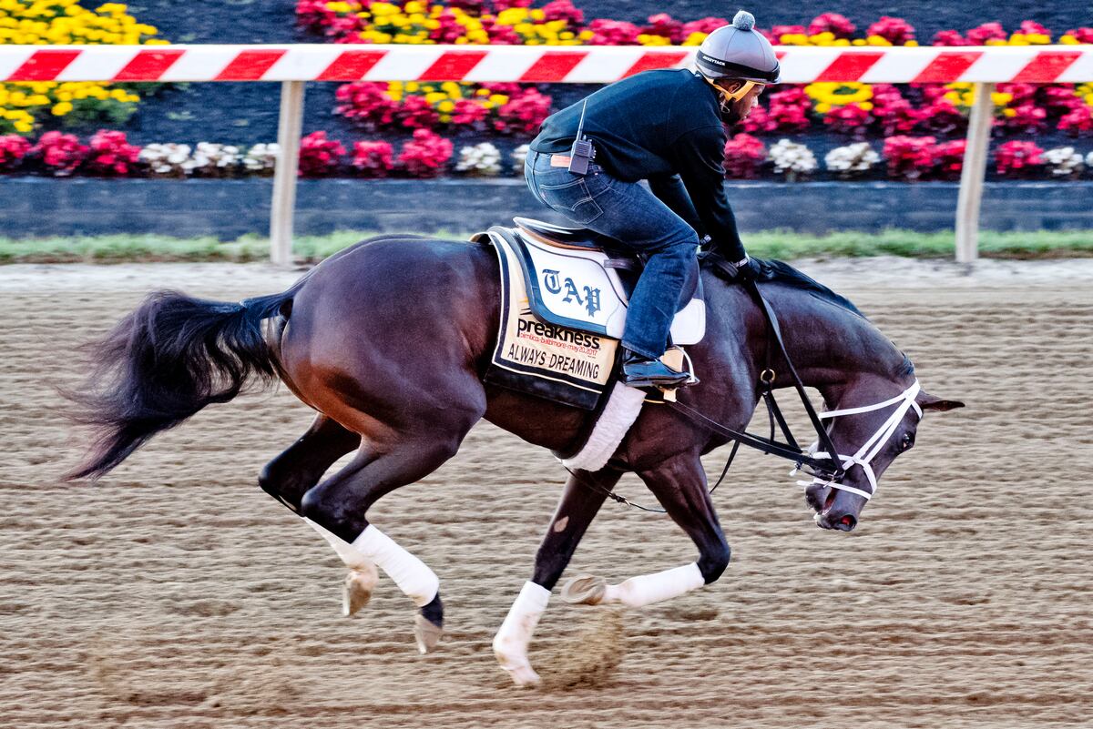 Preakness Preakness