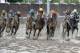 John Velazquez rides Always Dreaming to victory in the 143rd running of the Kentucky Derby horse race at Churchill Downs Saturday, May 6, 2017, in Louisville, Ky. (AP Photo/John Minchillo)